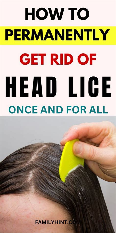 6 best home remedies for lice .
